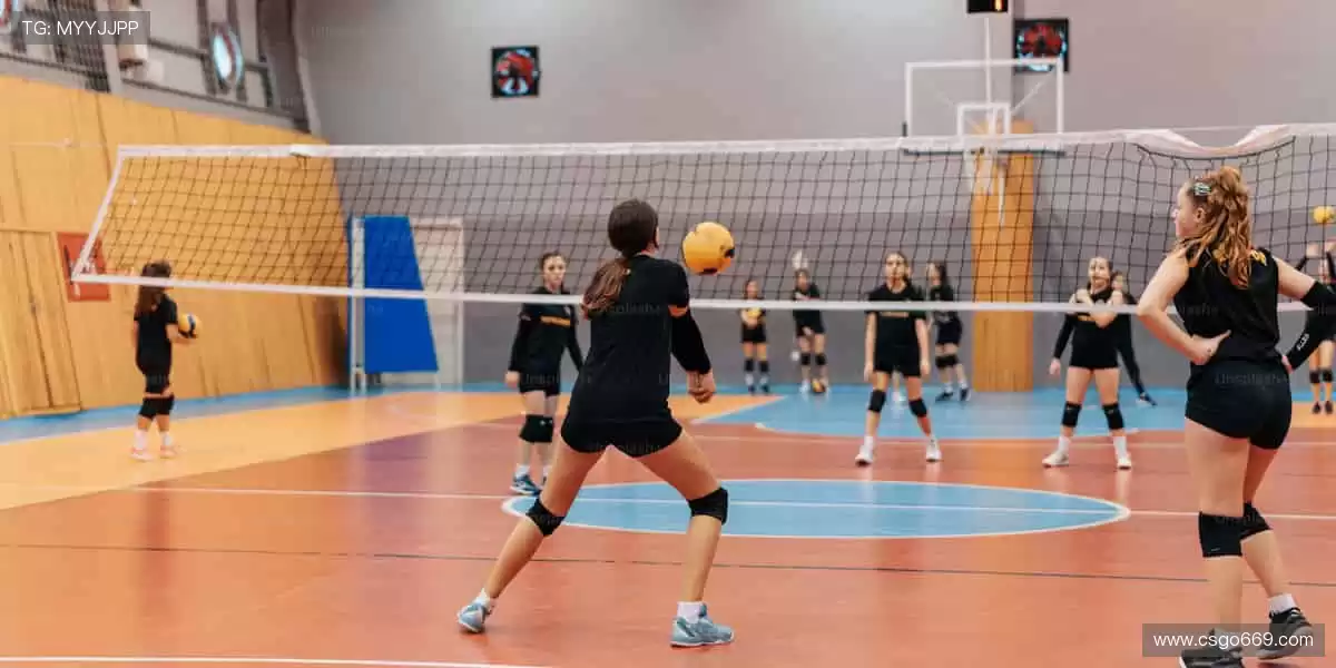 🏆【限量首发】冠军同款，专属你的荣耀珍藏！